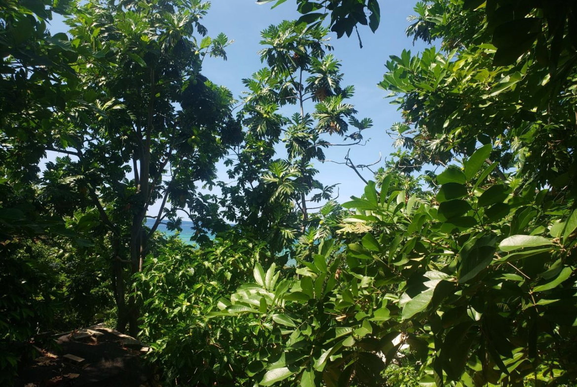 Third image of Northern Estate in Lilliput, St. James, Jamaica - property is For Sale