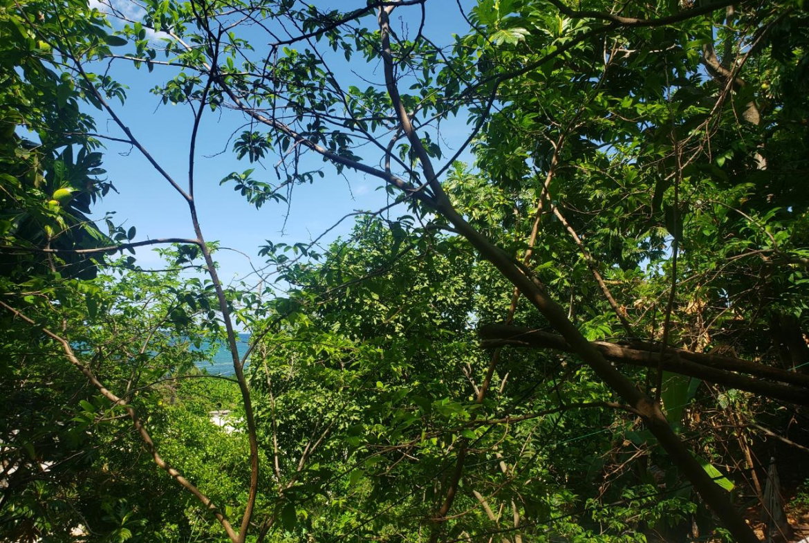 Fourth image of Northern Estate in Lilliput, St. James, Jamaica - property is For Sale