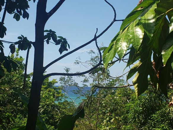 First image of Northern Estate in Lilliput, St. James, Jamaica - property is For Sale