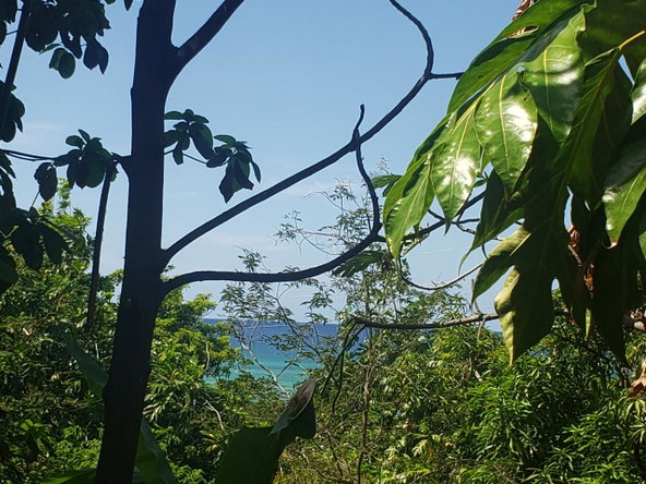 First image of Northern Estate in Lilliput, St. James, Jamaica - property is For Sale