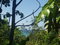 First image of Northern Estate in Lilliput, St. James, Jamaica - property is For Sale