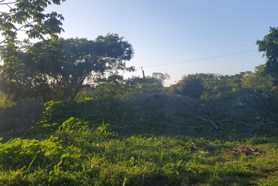 Fifth image of 23 White River Drive in Ocho Rios, St. Ann, Jamaica - property is For Sale