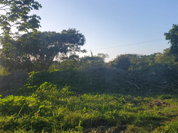 Fifth image of 23 White River Drive in Ocho Rios, St. Ann, Jamaica - property is For Sale