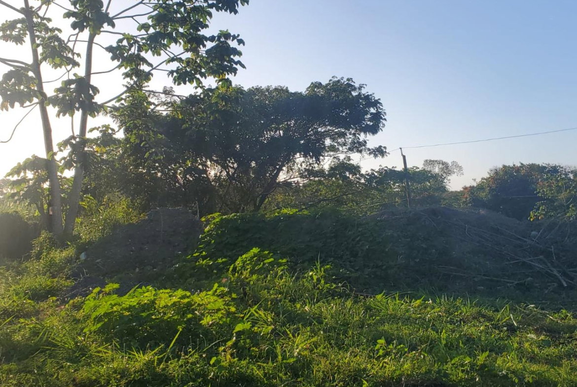 Sixth image of 23 White River Drive in Ocho Rios, St. Ann, Jamaica - property is For Sale