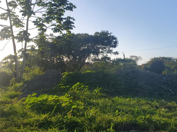 Sixth image of 23 White River Drive in Ocho Rios, St. Ann, Jamaica - property is For Sale