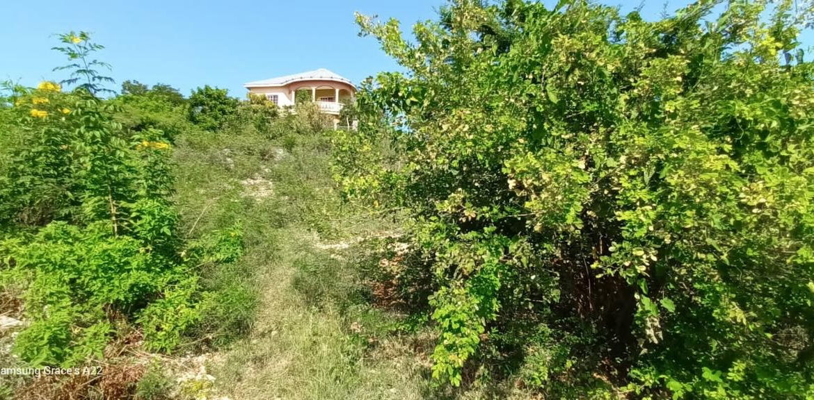 Fifteenth image of 96 Old Harbour Glades in Old Harbour, St. Catherine, Jamaica - property is For Sale