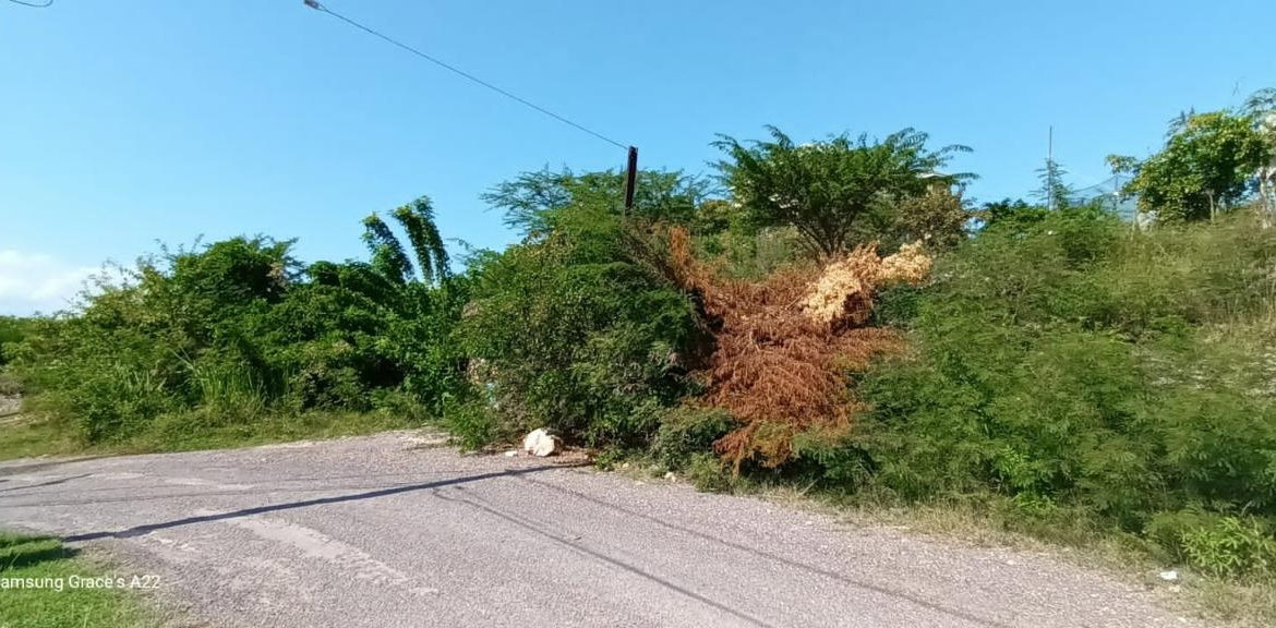 Nineteenth image of 96 Old Harbour Glades in Old Harbour, St. Catherine, Jamaica - property is For Sale