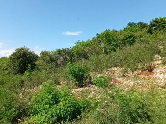 First image of 96 Old Harbour Glades in Old Harbour, St. Catherine, Jamaica - property is For Sale