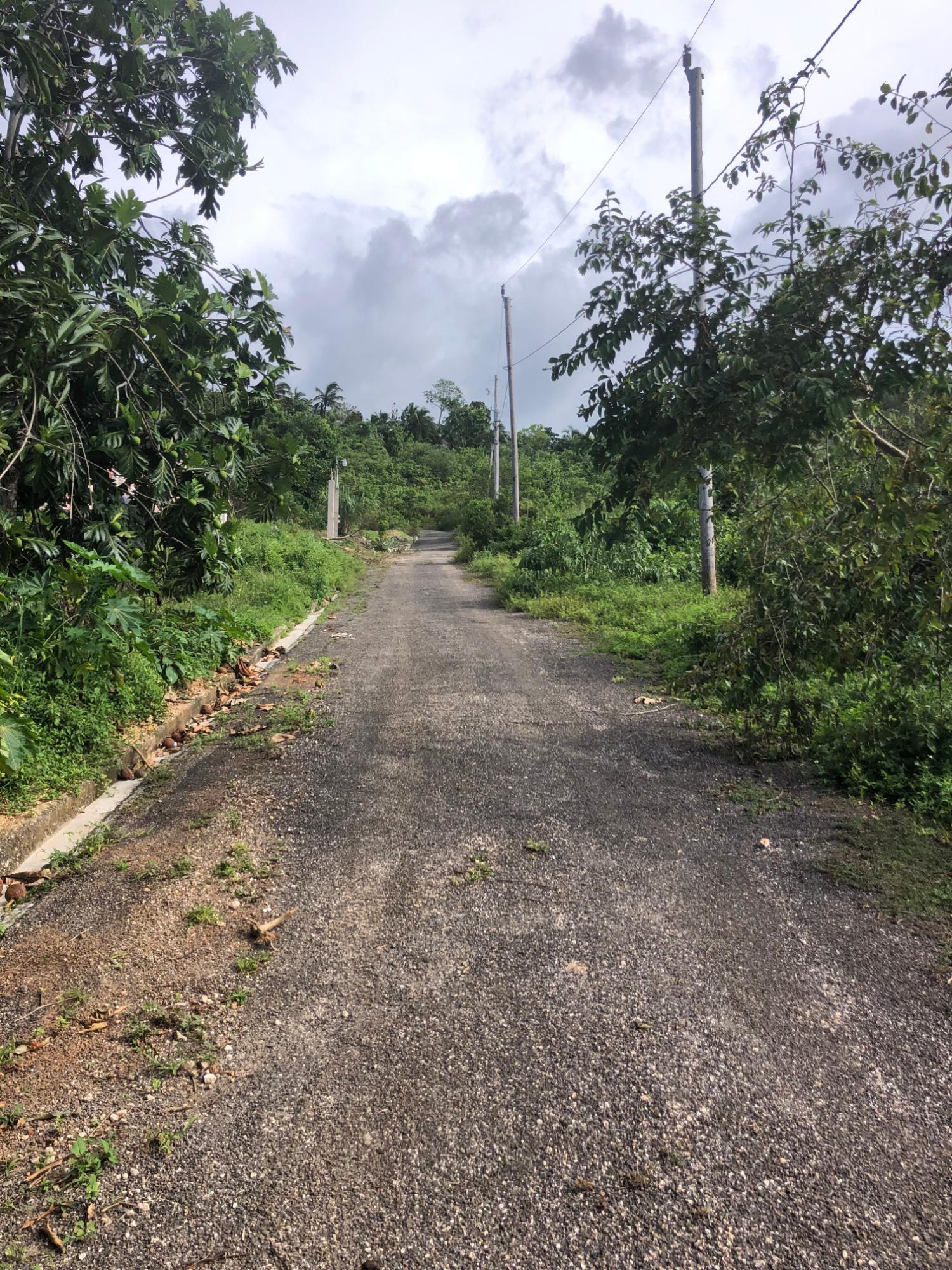 Second image of Lot 7 Gumption Heights in Alexandria, St. Ann, Jamaica - property is For Sale