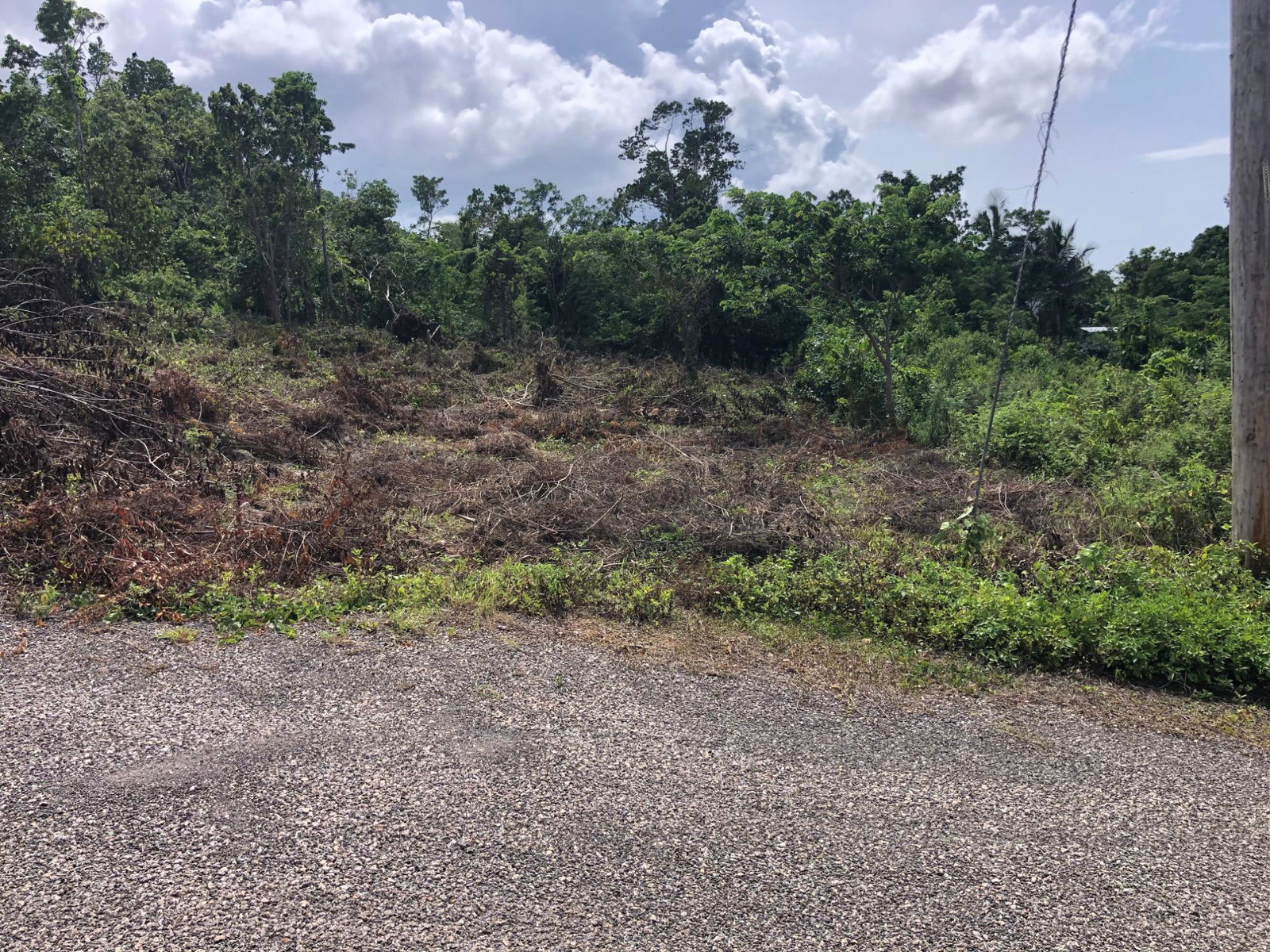 Eleventh image of Lot 7 Gumption Heights in Alexandria, St. Ann, Jamaica - property is For Sale