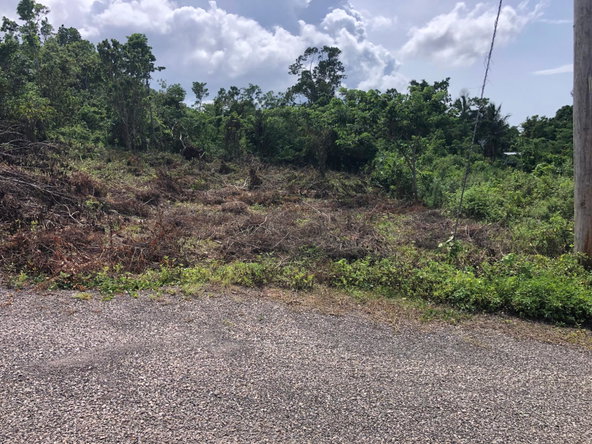 Eleventh image of Lot 7 Gumption Heights in Alexandria, St. Ann, Jamaica - property is For Sale