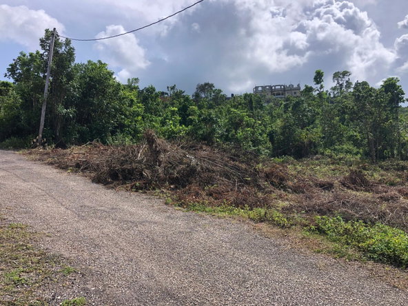 Twelfth image of Lot 7 Gumption Heights in Alexandria, St. Ann, Jamaica - property is For Sale