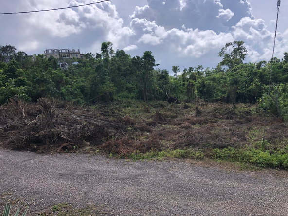 Thirteenth image of Lot 7 Gumption Heights in Alexandria, St. Ann, Jamaica - property is For Sale