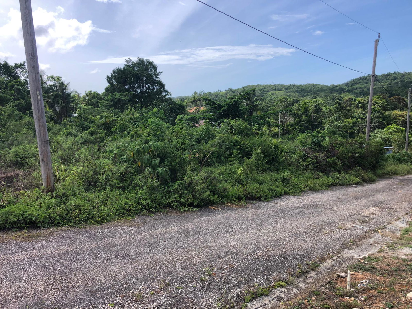 Fourteenth image of Lot 7 Gumption Heights in Alexandria, St. Ann, Jamaica - property is For Sale