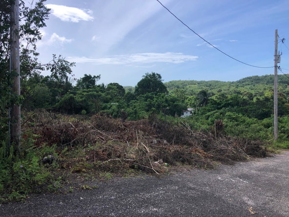 Fifteenth image of Lot 7 Gumption Heights in Alexandria, St. Ann, Jamaica - property is For Sale