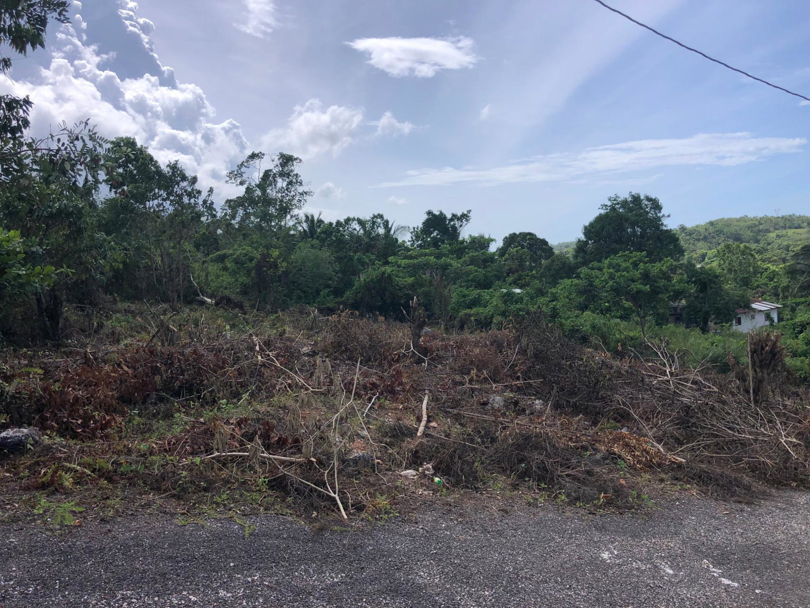 Sixteenth image of Lot 7 Gumption Heights in Alexandria, St. Ann, Jamaica - property is For Sale