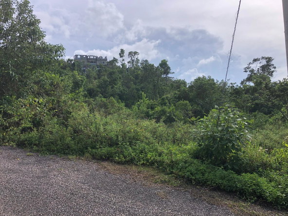 Fourth image of Lot 7 Gumption Heights in Alexandria, St. Ann, Jamaica - property is For Sale