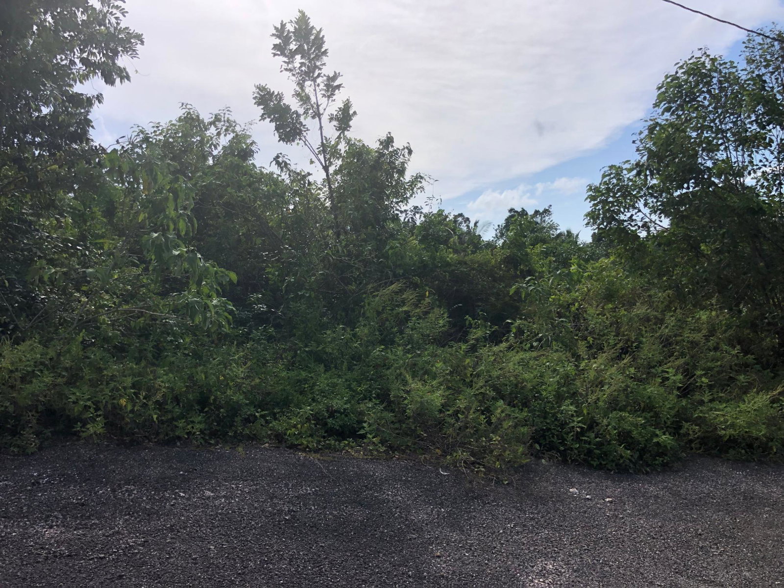 Fifth image of Lot 7 Gumption Heights in Alexandria, St. Ann, Jamaica - property is For Sale