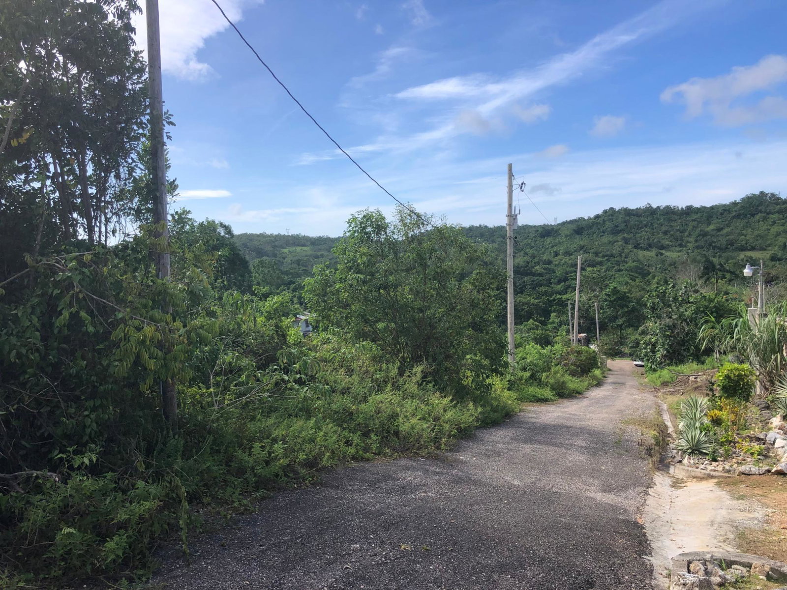 Sixth image of Lot 7 Gumption Heights in Alexandria, St. Ann, Jamaica - property is For Sale