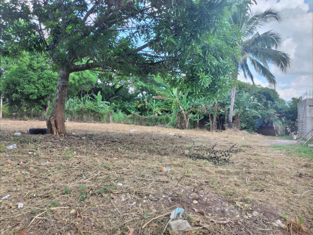 Residential-Lot-for-Sale-in-Orangefield-Ewarton-Over-14-Acre Second image of 30 Orangefield, Ewarton in Ewarton, St. Catherine, Jamaica - property is For Sale
