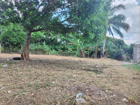 Second image of 30 Orangefield, Ewarton in Ewarton, St. Catherine, Jamaica - property is For Sale