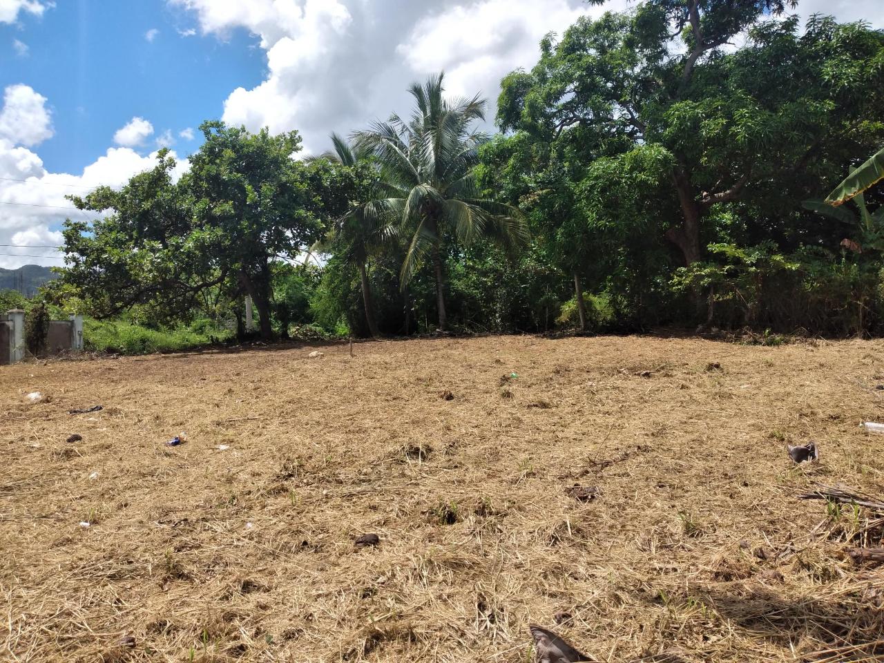 Residential-Lot-for-Sale-in-Orangefield-Ewarton-Over-14-Acre Third image of 30 Orangefield, Ewarton in Ewarton, St. Catherine, Jamaica - property is For Sale