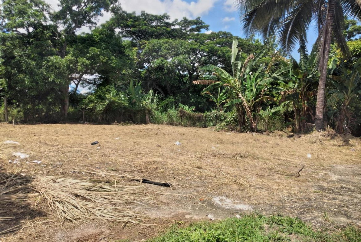 Fifth image of 30 Orangefield, Ewarton in Ewarton, St. Catherine, Jamaica - property is For Sale