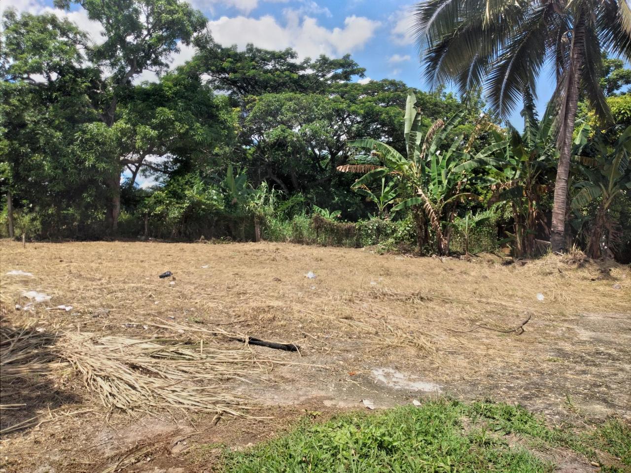 Residential-Lot-for-Sale-in-Orangefield-Ewarton-Over-14-Acre Fifth image of 30 Orangefield, Ewarton in Ewarton, St. Catherine, Jamaica - property is For Sale