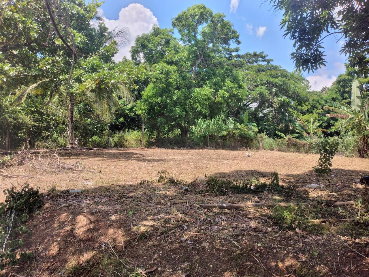 Residential-Lot-for-Sale-in-Orangefield-Ewarton-Over-14-Acre First image of 30 Orangefield, Ewarton in Ewarton, St. Catherine, Jamaica - property is For Sale