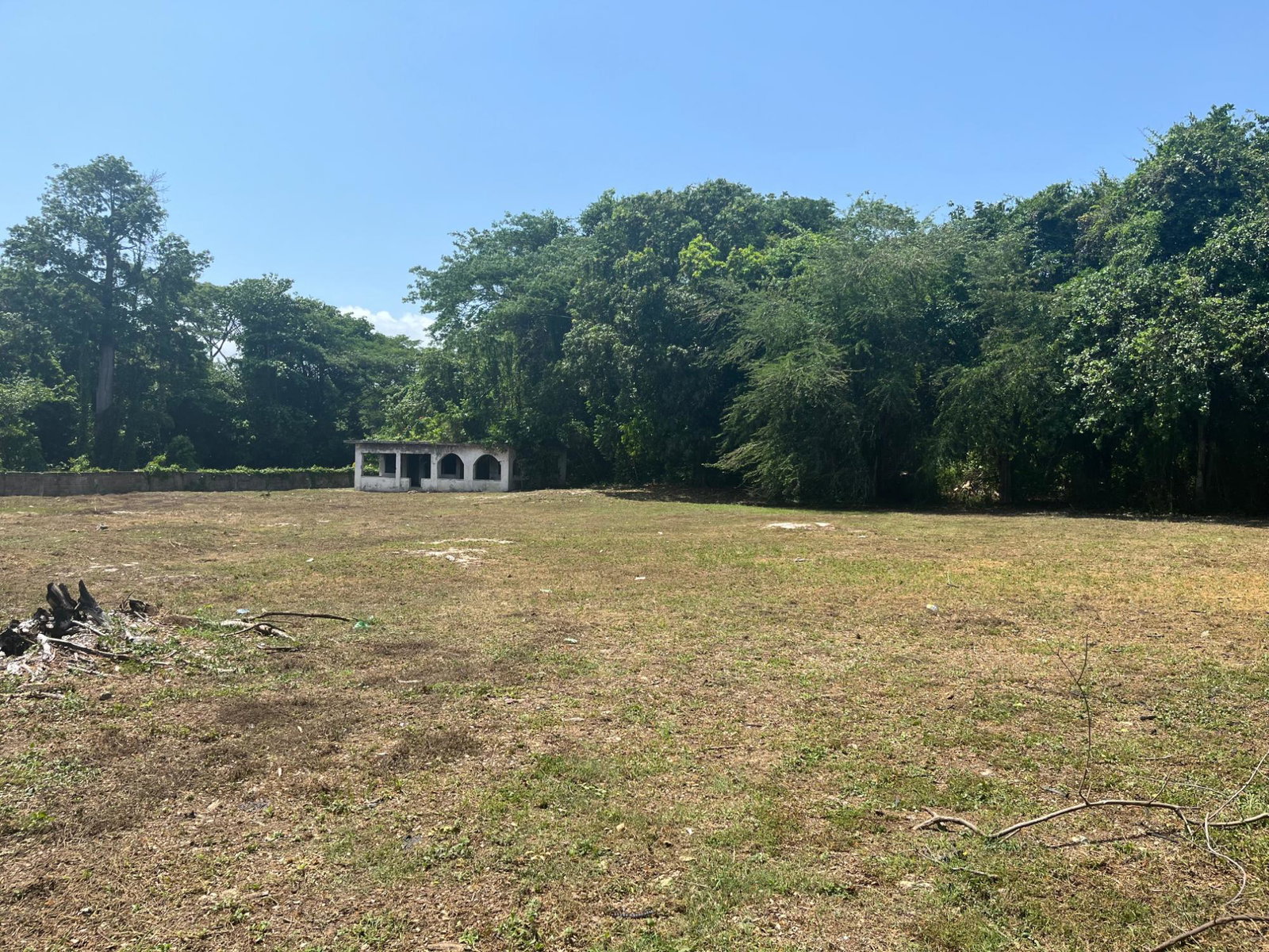 Second image of Orchard, Strathbogie in Petersfield, Westmoreland, Jamaica - property is For Sale