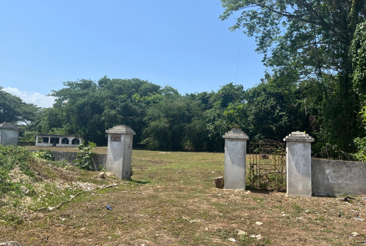 First image of Orchard, Strathbogie in Petersfield, Westmoreland, Jamaica - property is For Sale