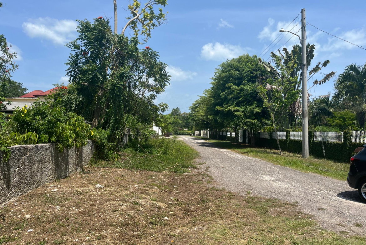 Fifth image of Orchard, Strathbogie in Petersfield, Westmoreland, Jamaica - property is For Sale