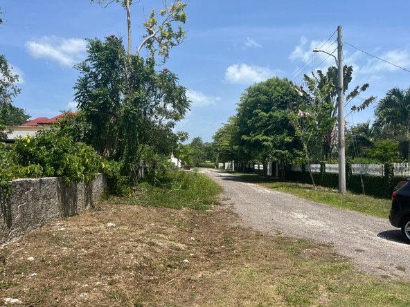 Fifth image of Orchard, Strathbogie in Petersfield, Westmoreland, Jamaica - property is For Sale