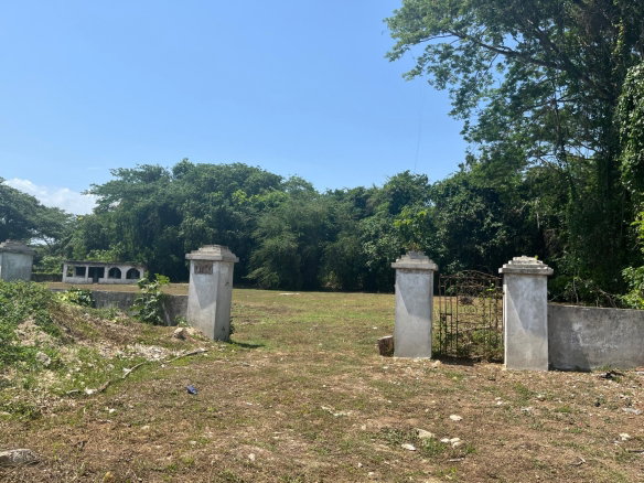 First image of Orchard, Strathbogie in Petersfield, Westmoreland, Jamaica - property is For Sale