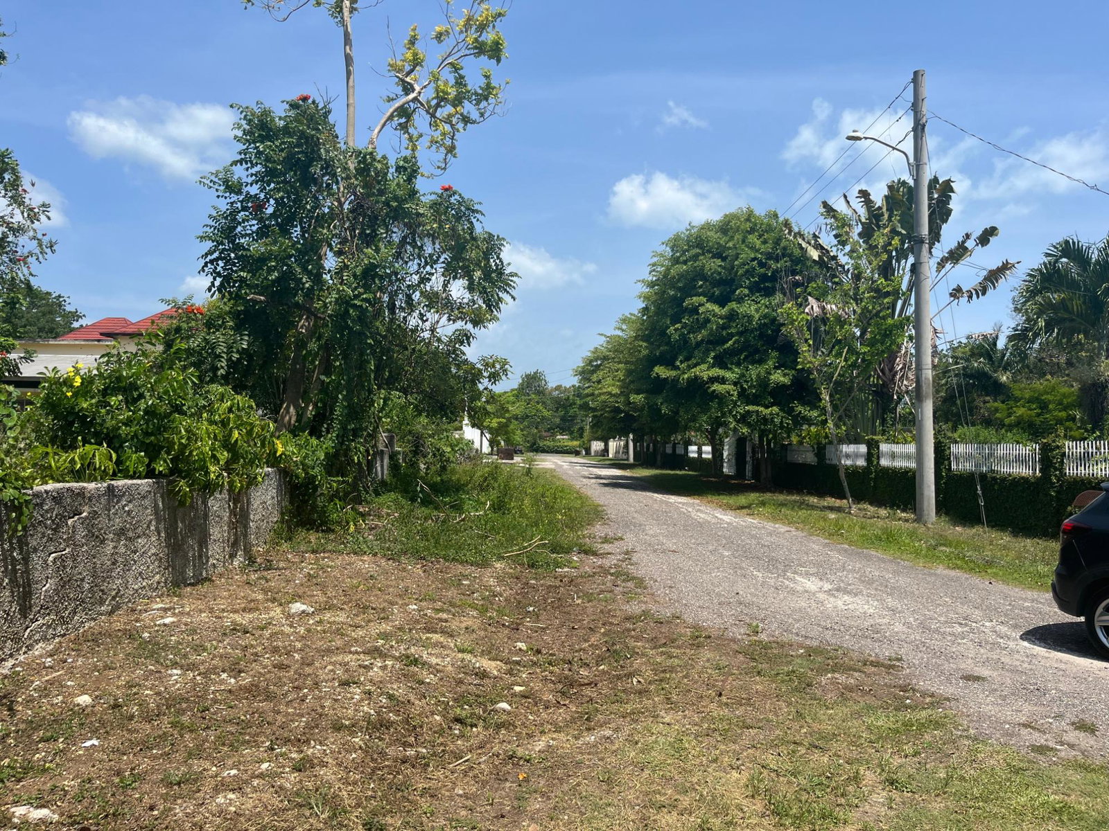 Second image of Orchard, Strathbogie in Petersfield, Westmoreland, Jamaica - property is For Sale