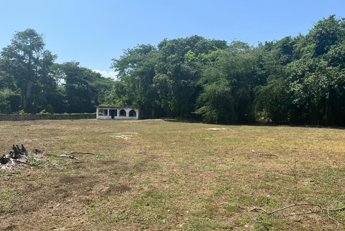 Third image of Orchard, Strathbogie in Petersfield, Westmoreland, Jamaica - property is For Sale