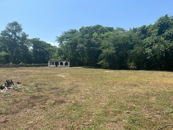 Third image of Orchard, Strathbogie in Petersfield, Westmoreland, Jamaica - property is For Sale