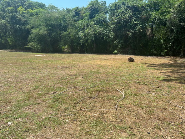 Fourth image of Orchard, Strathbogie in Petersfield, Westmoreland, Jamaica - property is For Sale