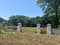 First image of Orchard, Strathbogie in Petersfield, Westmoreland, Jamaica - property is For Sale