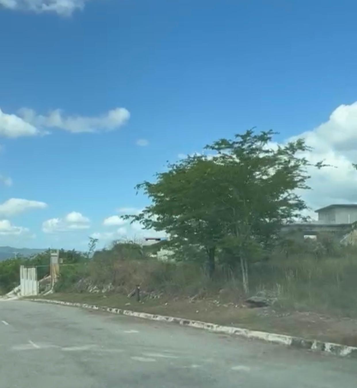 Residential-Lot-for-Sale-in-Palmbrook-Estate-Lacovia-Jamaica Eighth image of 30 Palmbrook Estate, Lacovia in Lacovia, St. Elizabeth, Jamaica - property is For Sale