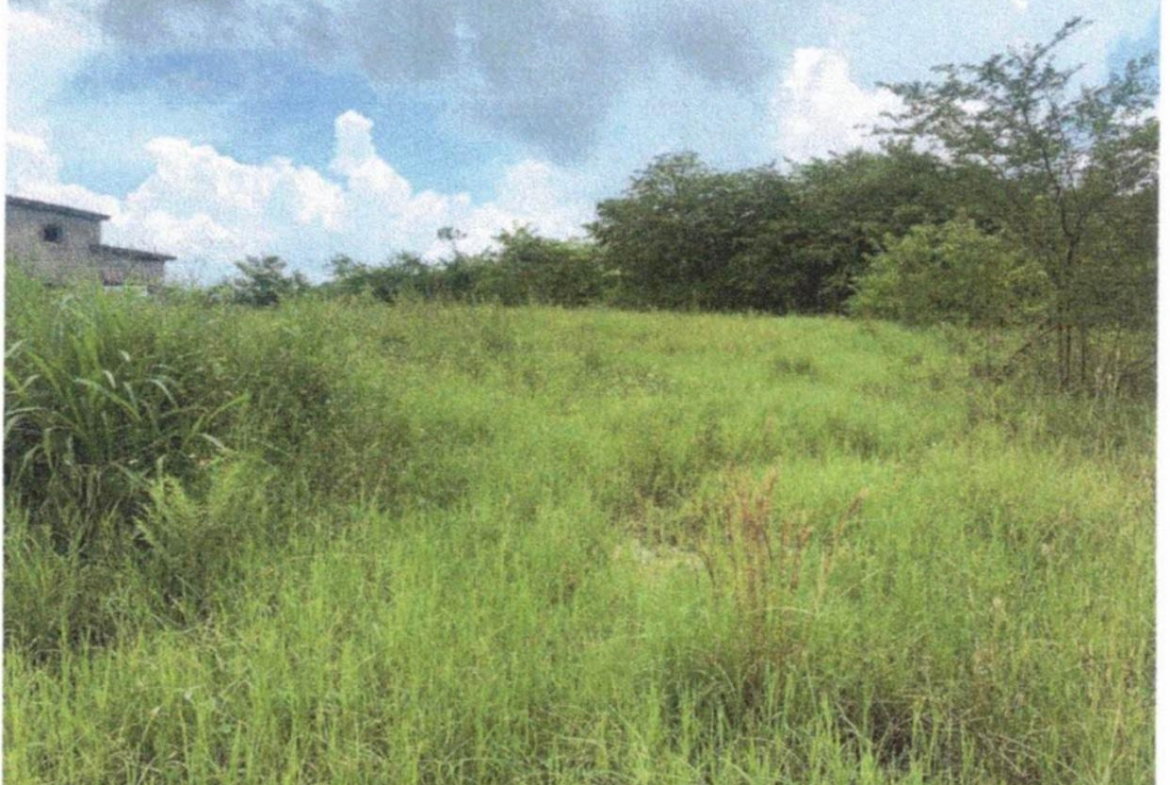 Ninth image of 30 Palmbrook Estate, Lacovia in Lacovia, St. Elizabeth, Jamaica - property is For Sale