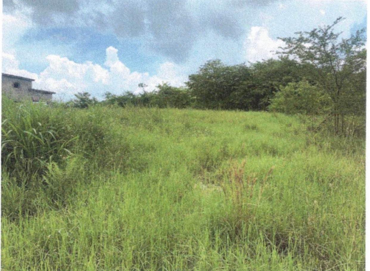Residential-Lot-for-Sale-in-Palmbrook-Estate-Lacovia-Jamaica Ninth image of 30 Palmbrook Estate, Lacovia in Lacovia, St. Elizabeth, Jamaica - property is For Sale