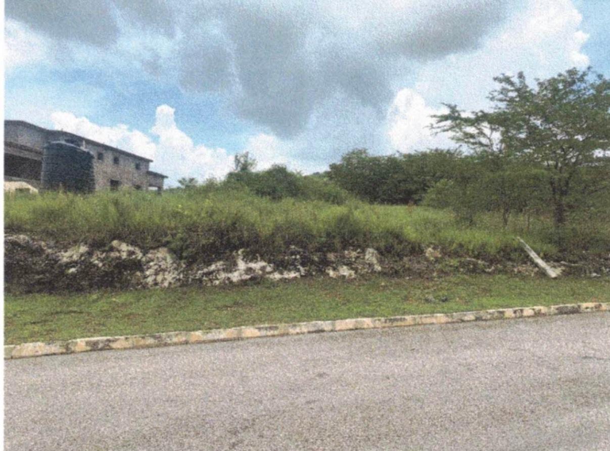 Residential-Lot-for-Sale-in-Palmbrook-Estate-Lacovia-Jamaica Tenth image of 30 Palmbrook Estate, Lacovia in Lacovia, St. Elizabeth, Jamaica - property is For Sale
