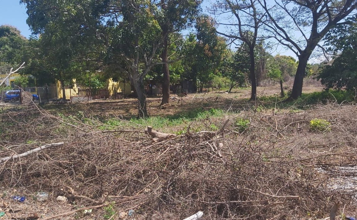 Second image of Lot-55 Palmetto Pen in Palmetto Pen, Clarendon, Jamaica - property is For Sale