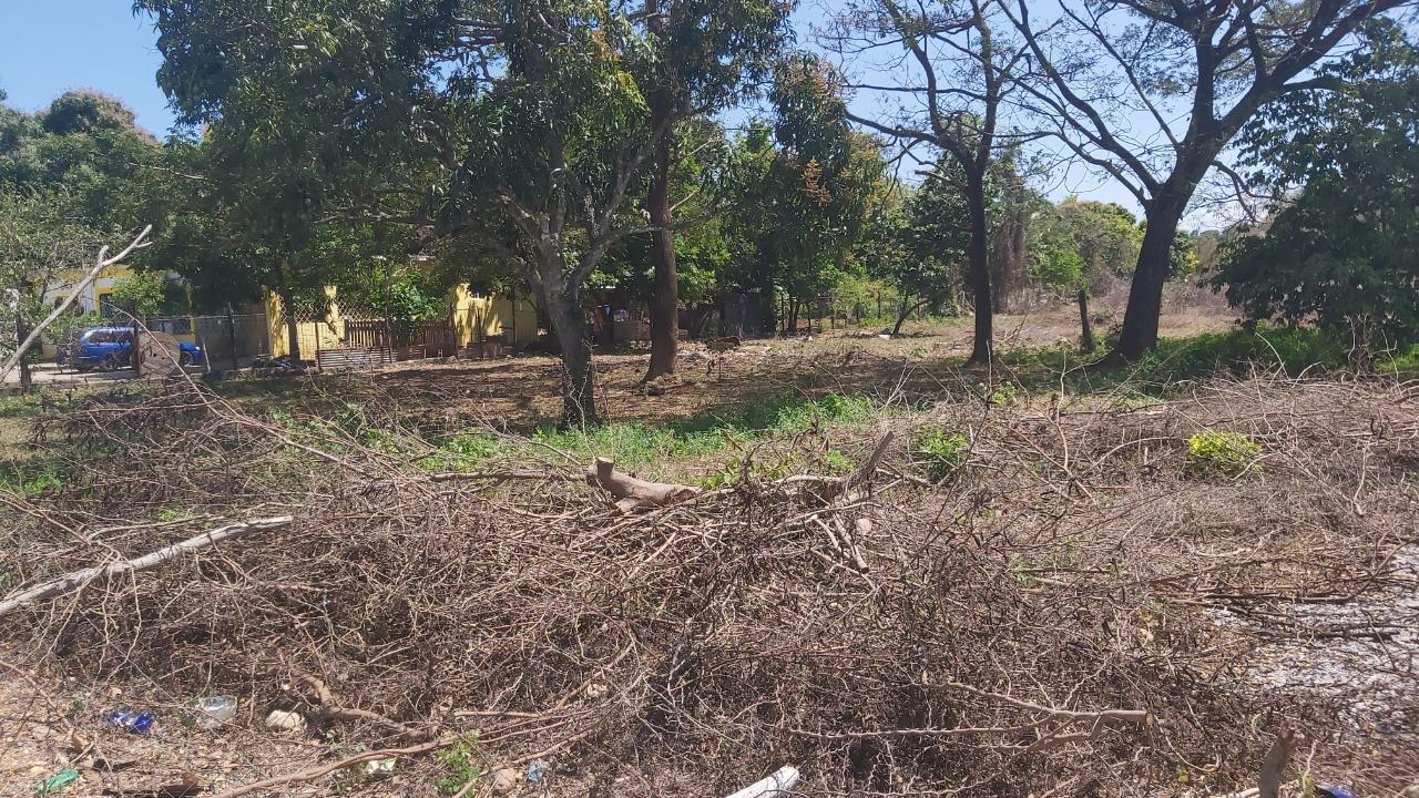 Residential-Lot-for-Sale-in-Palmetto-Pen-Clarendon-Ideal-for-Investment Second image of Lot-55 Palmetto Pen in Palmetto Pen, Clarendon, Jamaica - property is For Sale