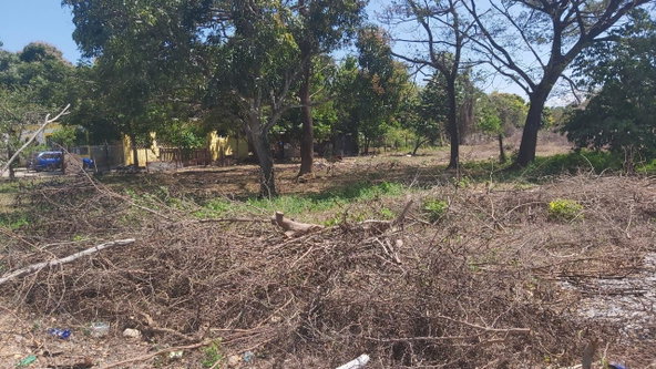 Second image of Lot-55 Palmetto Pen in Palmetto Pen, Clarendon, Jamaica - property is For Sale