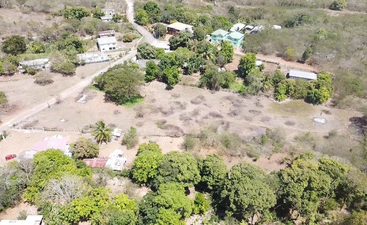 Twelfth image of Lot-55 Palmetto Pen in Palmetto Pen, Clarendon, Jamaica - property is For Sale
