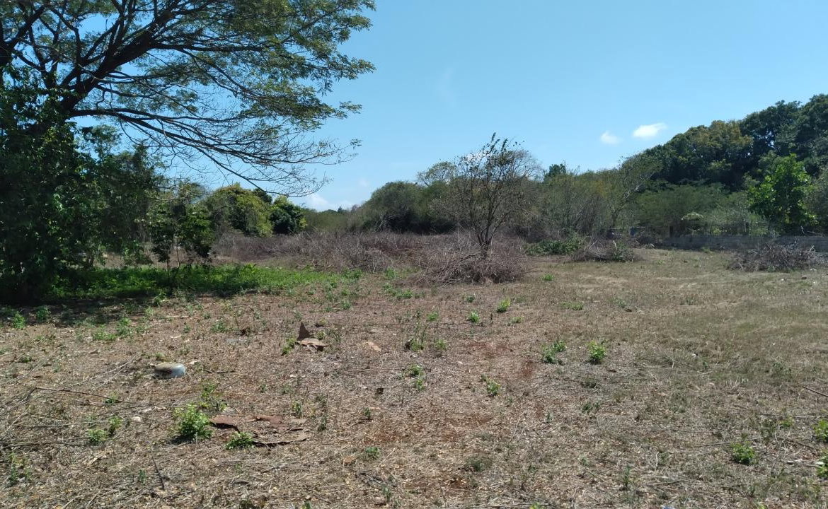 First image of Lot-55 Palmetto Pen in Palmetto Pen, Clarendon, Jamaica - property is For Sale