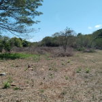 First image of Lot-55 Palmetto Pen in Palmetto Pen, Clarendon, Jamaica - property is For Sale