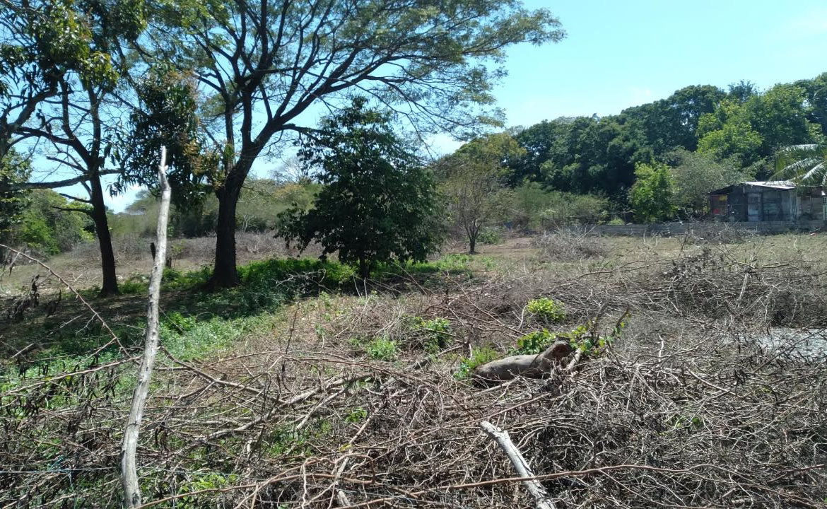 Nineteenth image of Lot-55 Palmetto Pen in Palmetto Pen, Clarendon, Jamaica - property is For Sale